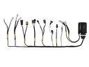 Wire harness Powertronic V4 Ecu Royal Enfield Interceptor 650 2021-2023