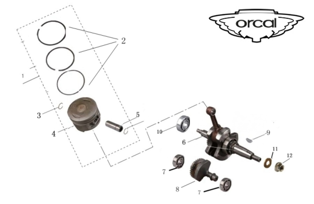 1 pistone e segmenti Orcal